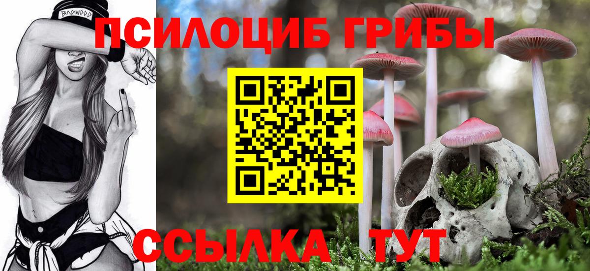 Псилоцибиновые грибы прущие грибы  Вход с VPN  Междуреченск  купить  цена  Галлюциногенные грибы MAGIC MUSHROOMS 